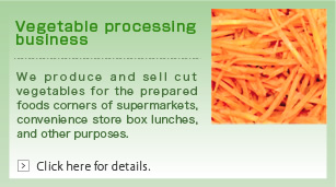 Vegetable processing business