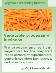 Vegetable processing business. We produce and sell cut vegetables for the prepared foods corners of supermarkets, convenience store box lunches, and other purposes.